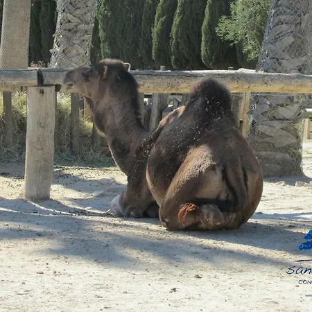 بيت للعطل Mobilhome Carpe Diem سيجيان